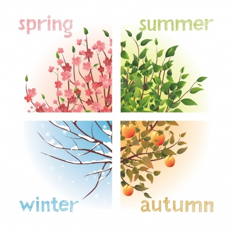 Ben jij een winter-, lente-, zomer-, of herfsttype? Doe hier je eigen vierseizoenen kleuranalyse! |